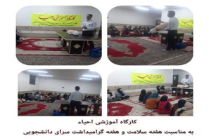 برگزاری کارگاه آموزشی احیاء در خوابگاه فاطمیه دانشگاه آزاد اسلامی نی ریز