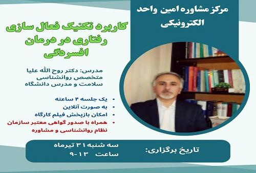 کارگاه کاربرد تکنیک فعال سازی رفتاری در درمان افسردگی